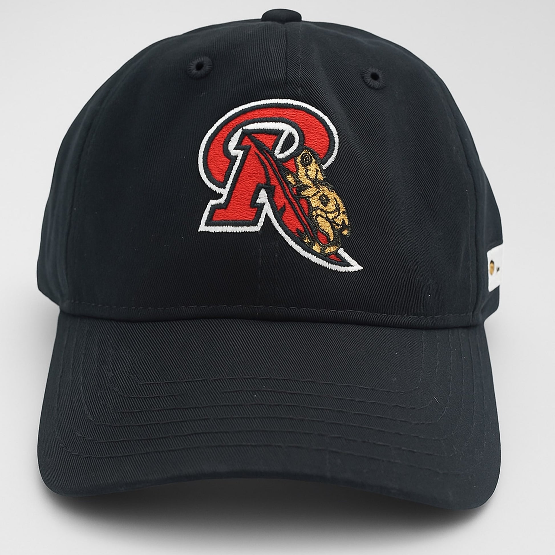 2025 Rochester Red Wings Zoo Night Frog Hat Giveaway