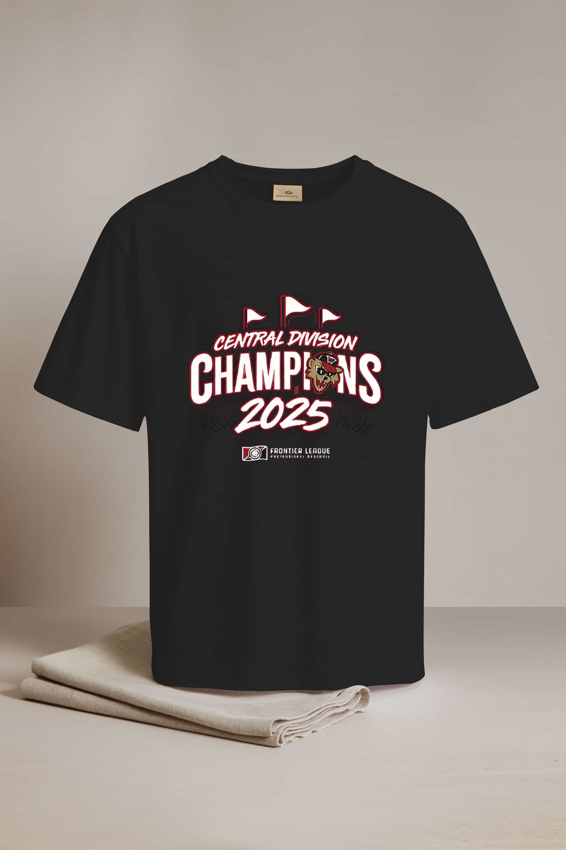 Washington Wild Things Central Division Champion 2025 Shirt1